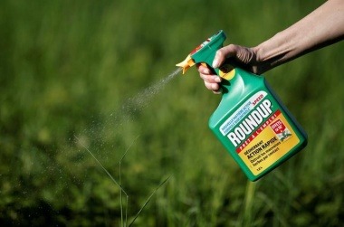 FILE PHOTO:    A woman uses a Monsanto's Roundup weedkiller spray without glyphosate in a garden in Ercuis near Paris, France, May 6, 2018. REUTERS/Benoit Tessier/File Photo