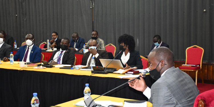 Trade Committee Meeting witnesses at parliament